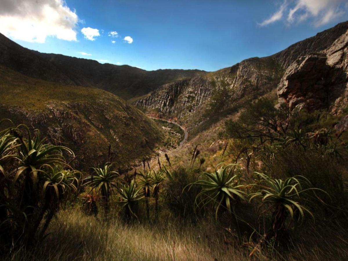 Karoo Art Hotel Barrydale Dış mekan fotoğraf