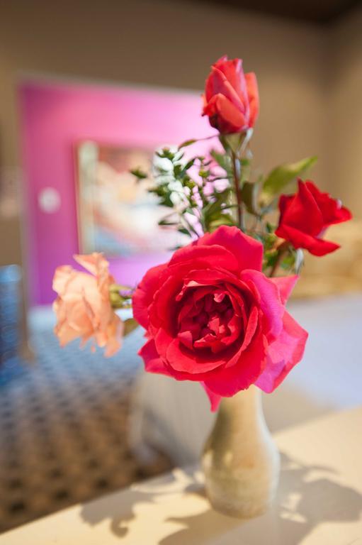 Karoo Art Hotel Barrydale Dış mekan fotoğraf